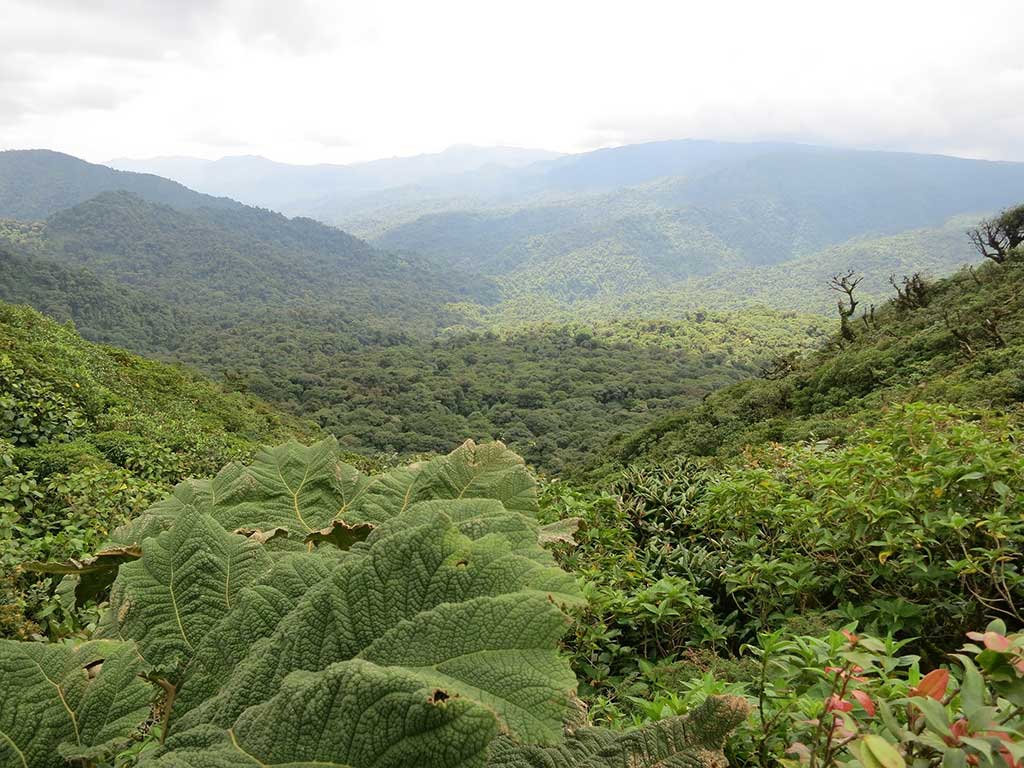 Monteverde - Costa Rica