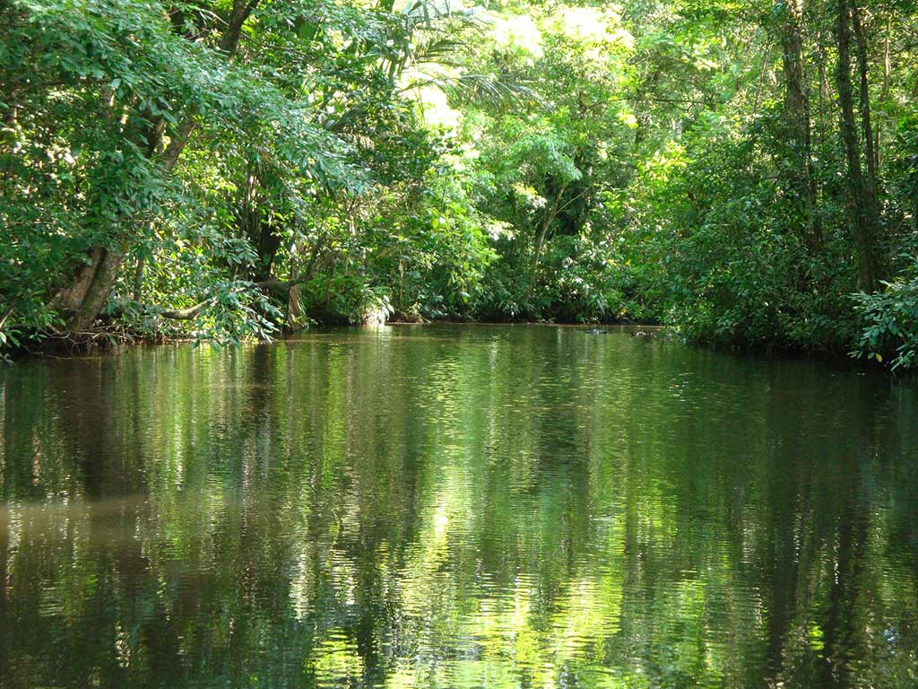 Tortuguero - Costa Rica